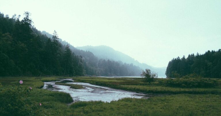 Forex Market Update: Major Currency Pairs in Focus as Central Bank Meetings Loom